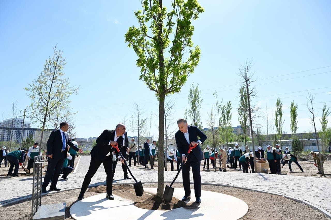 Milliy dendrologiya bogʻini barpo etishga start berildi