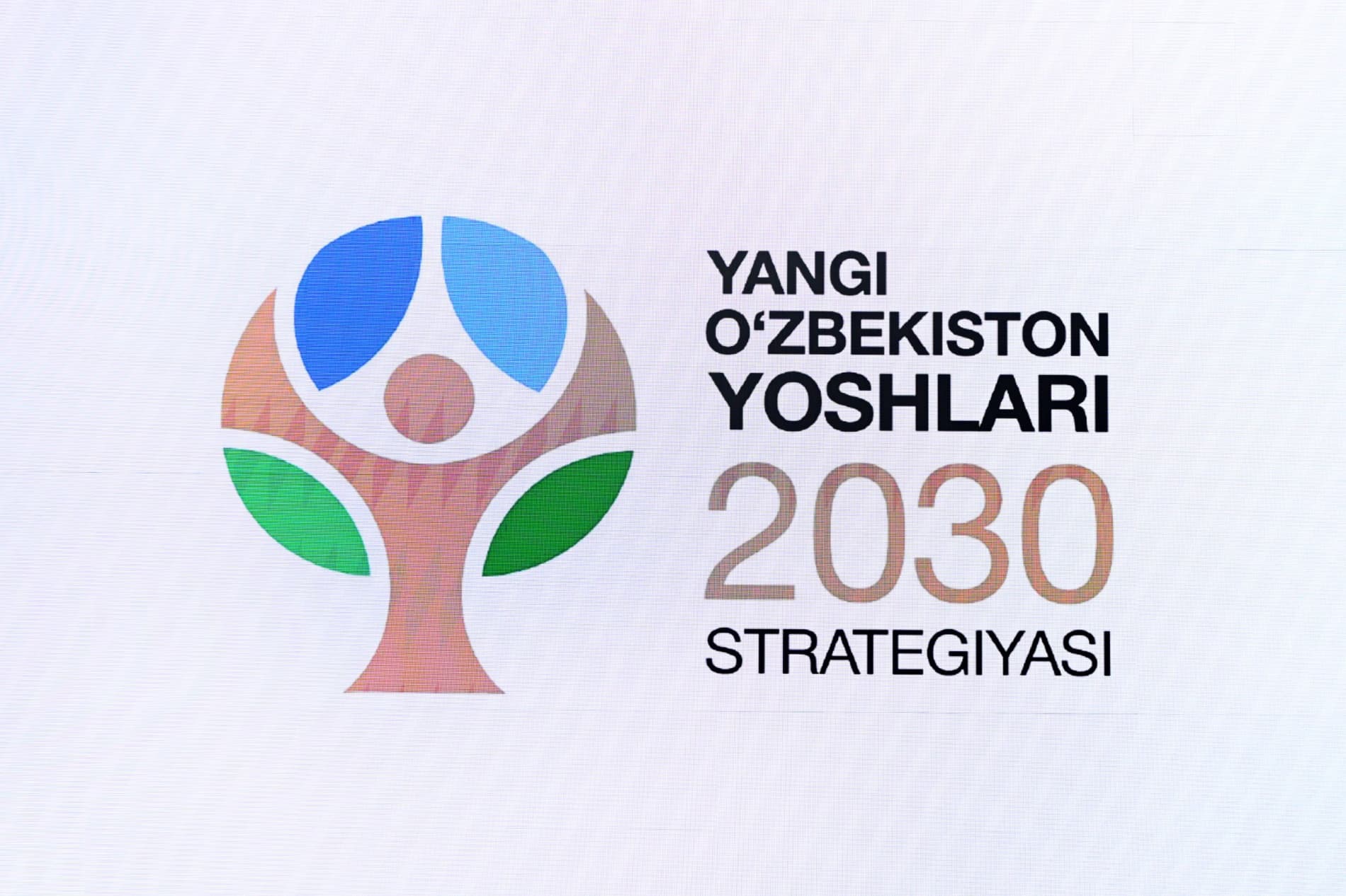 “Jańa Ózbekstan jasları – 2030” strategiyası ámelge asırıladı